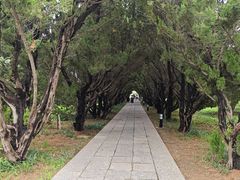 -洛阳古墓博物馆