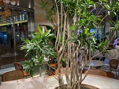 -迦南的早晨蛋糕甜品集合店
