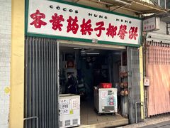 -洪馨椰子