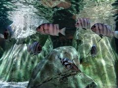 -沈阳海洋探索中心