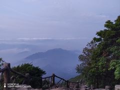 -梧桐山风景名胜区