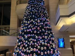 -新发展亚太JW万豪酒店·福苑咖啡厅