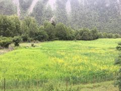 -米堆冰川