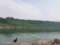 -金海湾滨江公园