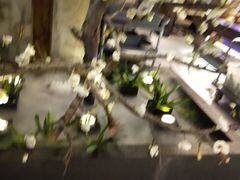 -盛江山自助料理(奥莱锦辉购物广场店)