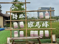 -杭州湾海上花田景区