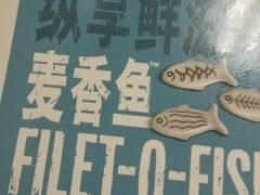 -麦当劳(石家庄北国店)