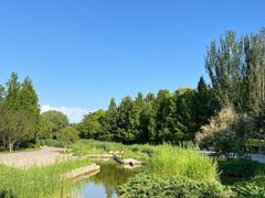 -大望京公园