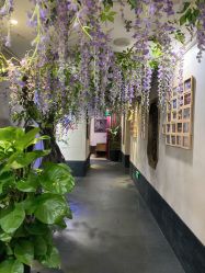 -盘子女人坊生日照·摄影馆(华强店)