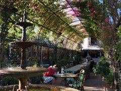 -The Grounds of Alexandria