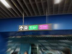 -大剧院(地铁站)