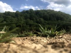 -关山草原