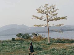 -杭州半山国家森林公园