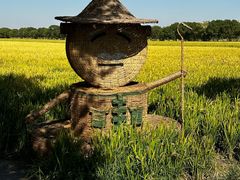 -嘉北郊野公园