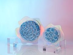 -ROSEONLY诺誓(国际广场购物中心店)