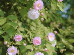 -建设三路(地铁站)