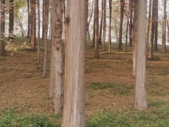 -柳树湾风景区