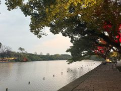 -江心屿景区