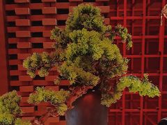 -阿伟海鲜楼·福建菜(延寿店)
