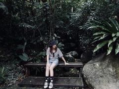 -呀诺达热带雨林