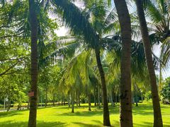 -白沙门生态公园