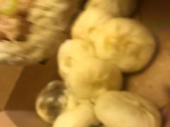 -舒小笼松针小笼包