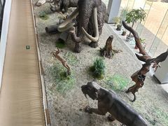 -中国第四纪冰川遗迹陈列馆