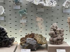-浙江自然博物院(杭州馆)