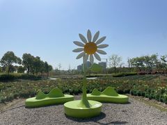 -春花秋色城市公园