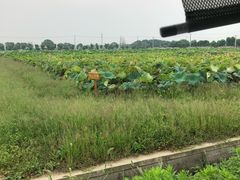 -嘉北郊野公园北游客中心-地上停车场