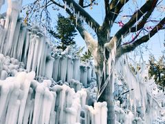 -黛秀湖公园