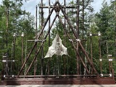 -莫尔道嘎国家森林公园