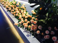 -花椒俏川菜小馆(南海万达店)