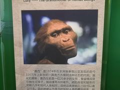 -辽宁古生物博物馆