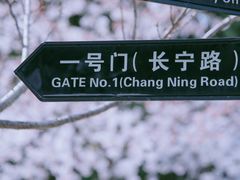 -中山公园