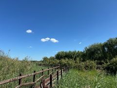 -西青郊野公园
