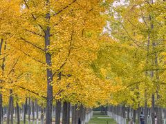 -汉长安城未央宫国家考古遗址公园