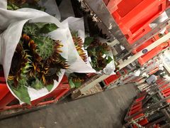 -昆明国际花卉拍卖交易中心