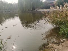 -南翠屏公园