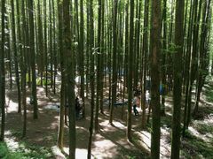 -山王坪喀斯特国家生态公园