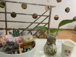-babiline芭比莱恩半永久纹眉纹唇发际线
