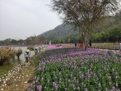 -顺峰山公园