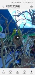 -未来动物城动物主题公园(大悦城店)