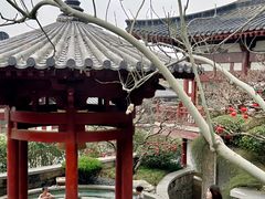 -西安华清御汤酒店