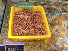 -黄龙海鲜大排档(杭州总店)