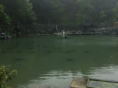 -陶祖圣境风景区