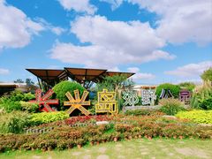 -上海长兴岛郊野公园