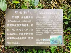 -海口火山口国家地质公园