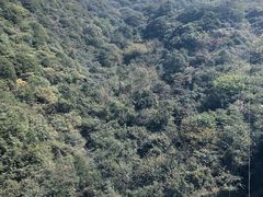-少华山国家森林公园