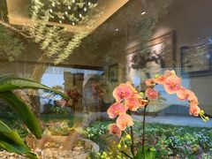 -九献创意菜·牛排料理(亮马河花园店)